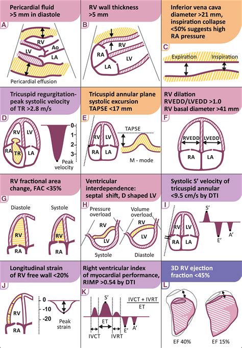 preserved lv systolic function 意味|preserved heart failure guidelines.